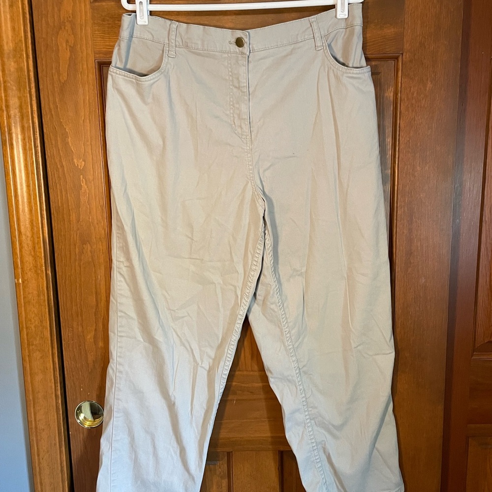 Blair Size 18P Tan Pants